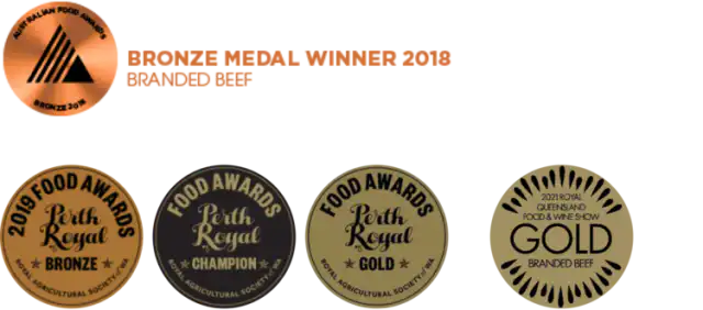 Josdale Awards Gold and Bronze
